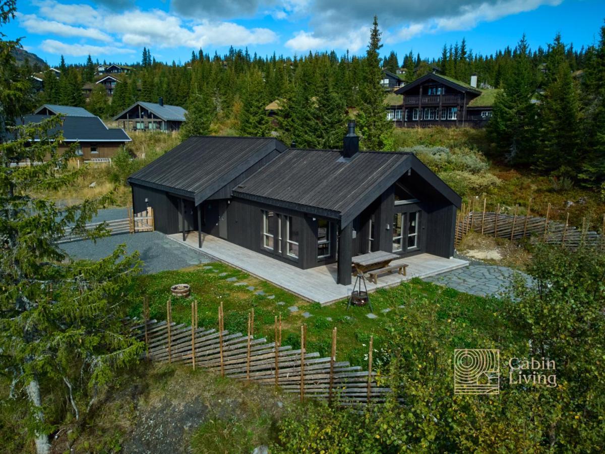 Modern Unique Fantastic Location Skeikampen Holiday home Svingvoll